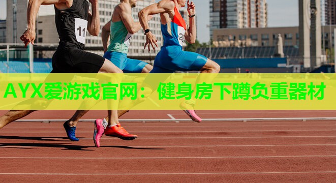 健身房下蹲负重器材 健身房下蹲负重器材