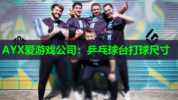 乒乓球台打球尺寸 乒乓球台打球尺寸