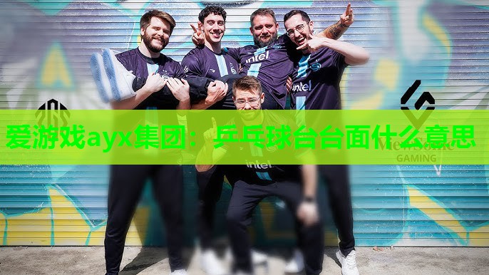 乒乓球台台面什么意思 乒乓球台台面什么意思