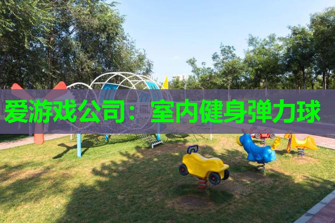 室内健身弹力球 室内健身弹力球