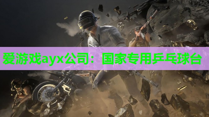 国家专用乒乓球台 国家专用乒乓球台