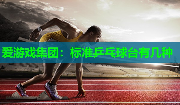 标准乒乓球台有几种 标准乒乓球台有几种
