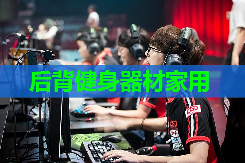 后背健身器材家用 后背健身器材家用