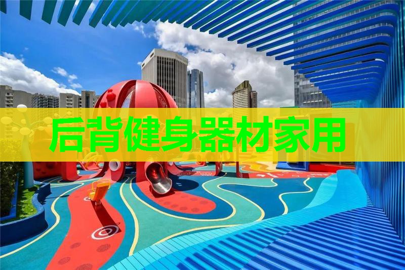 后背健身器材家用 后背健身器材家用